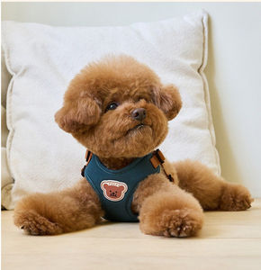 <b>Cute</b> <b>Bear</b> Design Adjustable Dog Harness and Leash Set | Breathable Soft Vest Harness for Small Dogs Puppies Outdoor Walking - Product Image 5
