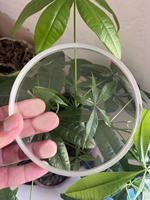 Verre de visée en borosilicate haute transparence, résistant à la chaleur et sécurisé