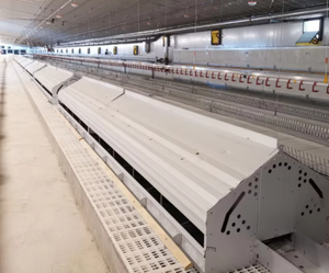 Equipo automático de cría de aves de corral Colocación automática Nido de pollo Caja de nido de huevos Caja de nido de pollo - Product Image 6