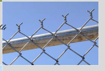 Cyclone Barbed Wire 40x40mm Chain Link Mesh Fencing 2.8mm Extension Arms Pvc Coated