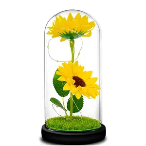 Factory Direct Supply Preserved Dried Sunflower Dome Eternal Artificial Sunflowers in Glass Home Decoration Eco-friendly