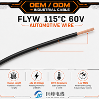 Fil automobile isolé en PVC résistant à la chaleur à un seul conducteur FLYW 115 ° Câble non gainé C DIN 72551 pour le câblage intérieur de voiture
