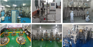 Équipement de Fermentation en Acier Inoxydable Massif, Fermenteur Automatique à Contrôle PLC, Bioréacteur avec Pompe pour la Fermentation - Product Image 3