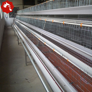 Equipo Automático de Jaulas en Batería Tipo A de 4 Niveles para Gallinas Ponedoras con Sistema de Recolección de Huevos y Sistema de Cinta Transportadora para la Eliminación de Estiércol - Product Image 1