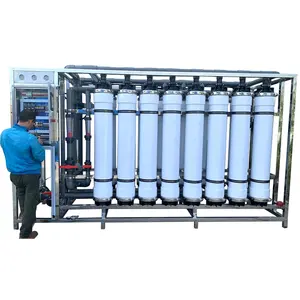 Máquina de purificación de agua de mar, tratamiento de aguas en contenedor, sistema de ultrafiltración para acuicultura, 30m, 3/h