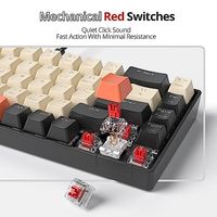 OEM ODM 65 Mini Wired Mechanical Keyboard RGB Backlit Black Compact 68Key Layout for Office Gaming with Full NKey Rollover and S