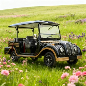 Voiture électrique vintage classique de conception créative, style européen, pour le tourisme - Product Image 4