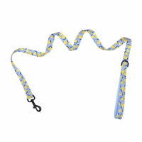 Ensemble de laisse pour chien anti-traction, nouveau modèle, motif citron mignon, luxueux et durable, vente en gros, produit pour animaux de compagnie, offre spéciale