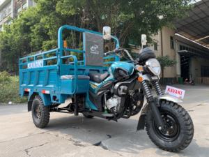 <span class=keywords><strong>Tribike</strong></span> Motocicleta DJL200 Triciclo Motocicleta 200CC Triciclos motorizados Triciclo para adultos para cargar mercancías - Product Image 2