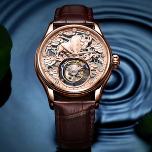 Envío Directo, Reloj de Pulsera Mecánico AESOP Tourbillon Skeleton con Movimiento de Cuerda Manual para Hombre, Reloj de Lujo a Prueba de Agua con Cristal de Zafiro - Product Image 6