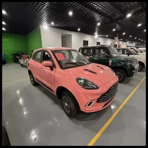 Vehículo Eléctrico Mini de Cuatro Ruedas de Nueva Energía, Marca China de Alta Calidad 2025, con Alta Potencia y Gran Autonomía de 3500W a 7000W - Product Image 3