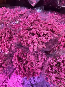 <span class=keywords><strong>Fleurs</strong></span> <span class=keywords><strong>séchées</strong></span> Plantes <span class=keywords><strong>Fleurs</strong></span> conservées Limonium <span class=keywords><strong>Bouquet</strong></span> d'herbe cristal Fleur sèche pour la décoration intérieure - Product Image 6