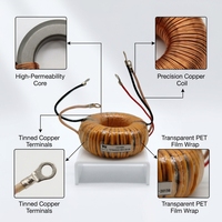 Transformateur toroïdal OEM personnalisé en usine, 100VA-5000VA, haute puissance, fil de cuivre pur, faible bruit