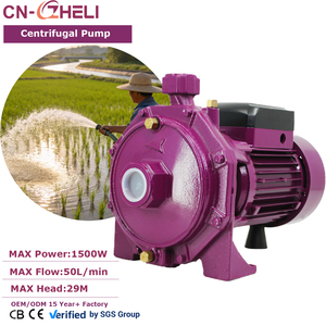 Pompe centrifuge à double turbine 220V à haut débit et haute pression pour usage domestique – Surpresseur d'eau résidentiel - Product Image 1