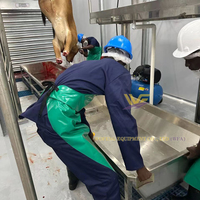Équipement d'abattage automatique des bovins Machine d'abattoir de vaches Ligne d'abattoir de boeuf Abattoir