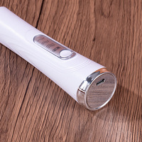 Mousseur à lait rechargeable portable avec 2 têtes de mélange, 3 vitesses, fouet à double bobine, mélangeur de boissons portable pour Matcha, Cappuccino, lait blanc