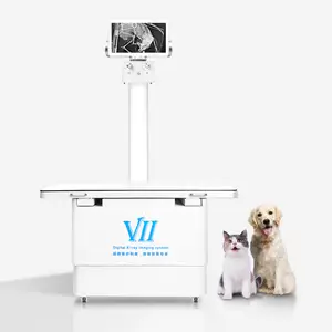 Brand X Ray Tube With Careray Flat Panel Detector 300Khz Generator X-ray Machine For Animal Pet Use