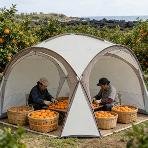 <span class=keywords><strong>D</strong></span>ôme géodésique avec plancher <span class=keywords><strong>pour</strong></span> une expérience de glamping surélevée et une <span class=keywords><strong>maison</strong></span> <span class=keywords><strong>d</strong></span>'hôtes en plein air - Product Image 1