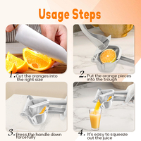 Daosheng Groothandel Keuken 304 Food Grade Roestvrijstalen Handpers Fruit Sinaasappel Juicer Citroenpers Citrus Juicer