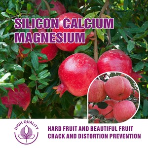 Chất Lượng Cao Hữu Cơ Trang Trại Phân Bón Cao Năng Lượng Silicone Hạt Giống Cho Rau Và Cây Ăn Quả Nông Nghiệp Cho Cây Táo - Product Image 2