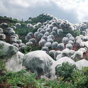 Sac <span class=keywords><strong>filet</strong></span> anti-insectes en PEHD stabilisé aux UV pour serre, barrière contre les mouches et les ravageurs - Product Image 6