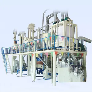 50-100TPD 옥수수 밀 오일 생산 라인 옥수수 밀 기계 옥수수 그릿 만들기 기계