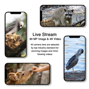 Caméra de chasse HC-812Pro 4K avec vision nocturne, carte SIM 4G, détection de mouvement sans fil, caméra de chasse extérieure, étanche IP65 - Product Image 5