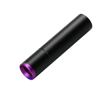 Mini lampe torche UV LED rechargeable 365 nm, corps en alliage d'aluminium, rechargeable par USB, indice de protection IP55, porte-clés, pour la peau des animaux, teigne