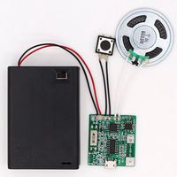Modulateur vidéo de lecture sans fil pour récepteur Audio 200W Usb acheter 12V Mp3 Module de son électro voix pour cadeau artisanat jouet