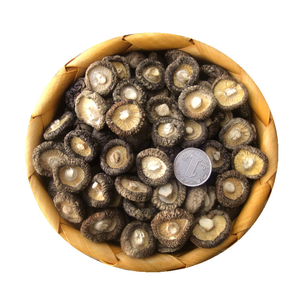 Champignons Shiitake Séchés en Usine, Meilleure <span class=keywords><strong>Vente</strong></span>, Spécial Soupe, Mini Champignons Shiitake Séchés, Champignons Déshydratés à Vendre - Product Image 1