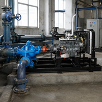 Pompe centrifuge industrielle à double aspiration horizontale 5KW à corps divisé haute pression pour transfert d'eau et protection incendie OEM
