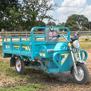 Commercio all'ingrosso WF1500DZH adulti Cargo 70 KM Open <span class=keywords><strong>3</strong></span> ruote moto motorizzato triciclo elettrico 400kg carico utile 1 passeggero - Product Image 5
