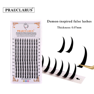 Extension ciglia personalizzate con logo, fatte a mano, effetto wispy, punte sottili, 0.07mm, curvatura <span class=keywords><strong>C</strong></span> D DD, lunghezze miste, extension ciglia 3D preformate effetto wispy - Product Image 3