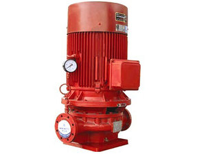Pompe à eau centrifuge verticale à aspiration simple pour la lutte contre les incendies - Product Image 5