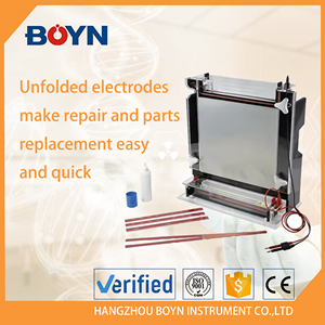 BN-CX2B, Секвенирование нуклеиновых кислот, генотип, электрофорез - Product Image 3