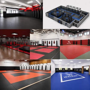Turnkey MMA &amp; Jiu-Jitsu Academy Solution <strong>Octagon</strong> Cage 6m Floor Mats/Wall Pads/Speed Bag Setup For New Gyms 100-400 Sqm - Product Image 3