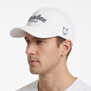OEM/ODM Cotton Sport Cap Quick-Dry Windproof Waterproof Baseball Hat Golf Cap 3D Embroidery Front Panel for Golf Customization - Product Image 5