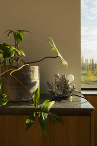 Lampe de table au design nordique moderne et unique, lampe créative en forme de <span class=keywords><strong>corail</strong></span> marin, belle lampe de table pour la maison, le hall d'hôtel - Product Image 3