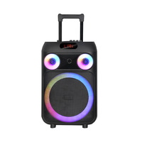 Enceinte Bluetooth avec Micro Sans Fil, Lampe d'Ambiance Colorée, Haut-Parleur Karaoké avec Micro et Bluetooth