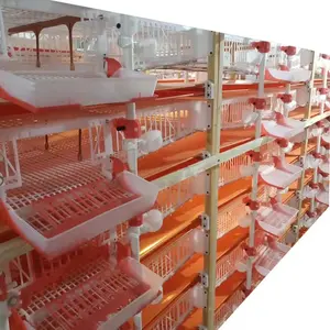 Professional new quail cage extra large automatic poop removal quail cage