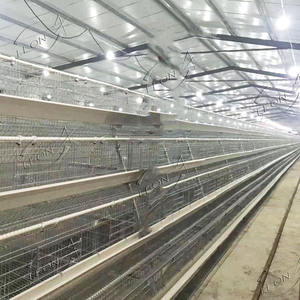 Gabbie per animali da gallina tipo A zincato A caldo A basso prezzo per forniture per allevamenti di pollame - Product Image 3