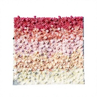 Mur de fleurs artificielles en soie, forme carrée, standardisé, pour mariage, décors intérieurs, accessoires de photographie, fournitures de décoration, rose verte