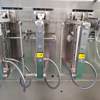 Machine d'emballage d'épices de haute technologie machine d'emballage horizontale doypack machine de remplissage de poudre machine de scellage