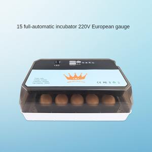 Incubateur automatique 15 œufs, neuf, en PP, pour usage domestique, mini, pour canards, oies, oiseaux, usage général, type valise/œufs - Product Image 2