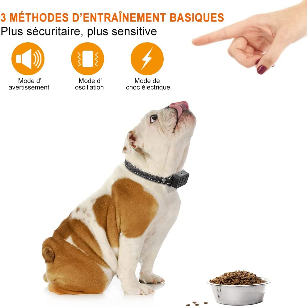 iPetDog PB60 Rechargeable Dog Training Collar - Anti-Barking Vibration Device