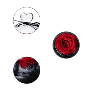 Roses éternelles de haute qualité sous dôme de verre, fleur préservée, plante immortelle, <span class=keywords><strong>la</strong></span> <span class=keywords><strong>belle</strong></span> <span class=keywords><strong>et</strong></span> <span class=keywords><strong>la</strong></span> bête, pour un cadeau de noël - Product Image 4