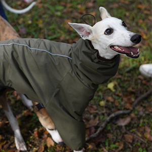 Qiqu personnalisé résistant à l'eau chien veste moderne solide extérieur imperméable <span class=keywords><strong>pour</strong></span> italien lévrier <span class=keywords><strong>Whippet</strong></span> nouveau concepteur fournitures <span class=keywords><strong>pour</strong></span> animaux <span class=keywords><strong>de</strong></span> compagnie - Product Image 2