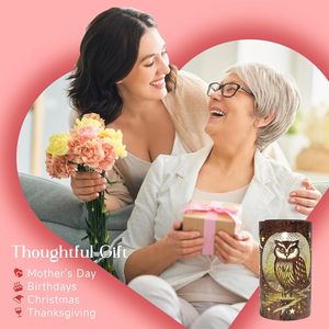 Regalos de cumpleaños con diseño de búho para mujeres, madres, abuelas, lámparas solares, decoración de jardín impermeable para exteriores, luces LED colgantes - Product Image 5