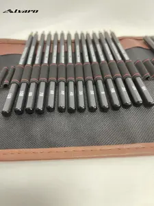 Crayons de croquis professionnels avec 14 pièces crayons de croquis et crayon de charbon de bois et autres outils d'art pour l'esquisse de peinture d'art