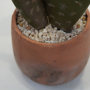 Garniture d'intérieur multi-<span class=keywords><strong>cactus</strong></span> artificiel en pot en <span class=keywords><strong>terre</strong></span> cuite nouveau design en gros - Product Image 6